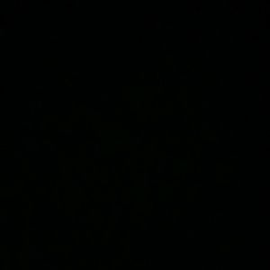 Meet your Posher, Valerie